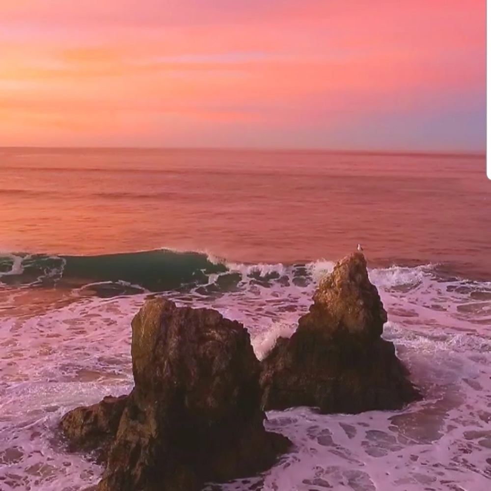 Meet your Posher, Edith